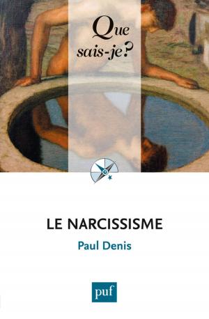 Cover of the book Le narcissisme by Jean-Michel Besnier