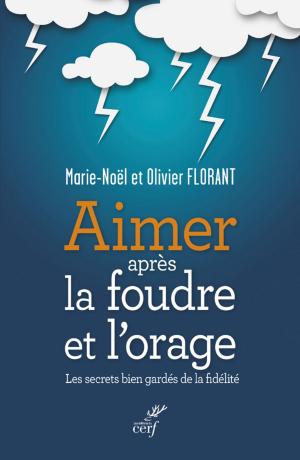 Book cover of Aimer après la foudre et l'orage