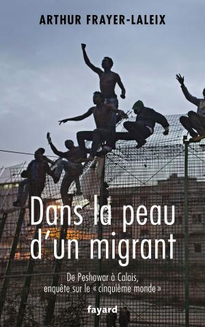 Cover of the book Dans la peau d'un migrant by Noël Balen, Vanessa Barrot