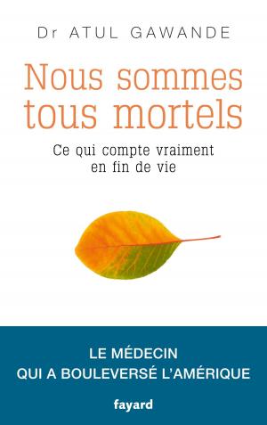 Cover of the book Nous sommes tous mortels by Pierre Milza