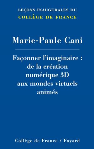 Cover of the book Façonner l'imaginaire by Régine Deforges