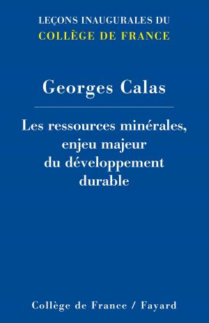 Cover of the book Les ressources minérales, enjeu majeur du développement durable by Sophie des Déserts