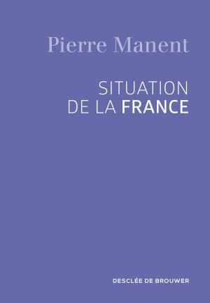 Cover of the book Situation de la France by José María Castillo Sánchez