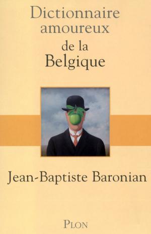 Book cover of Dictionnaire amoureux de la Belgique