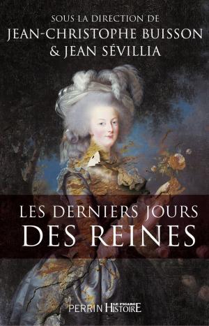 Cover of the book Les derniers jours des reines by Bertrand LANÇON