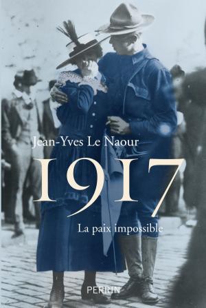Cover of the book 1917 by Nadine MONFILS