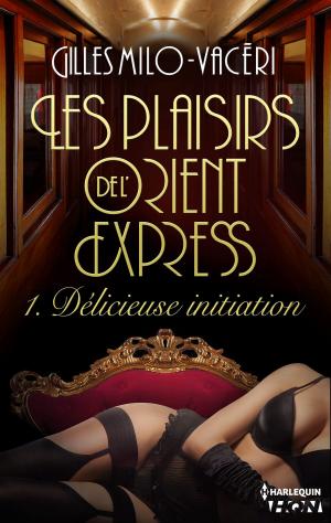Cover of the book Délicieuse initiation by Suzi Gorse