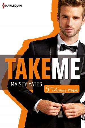 Cover of the book Take me (Cinquième Avenue, Prequel) by Rhonda Gibson