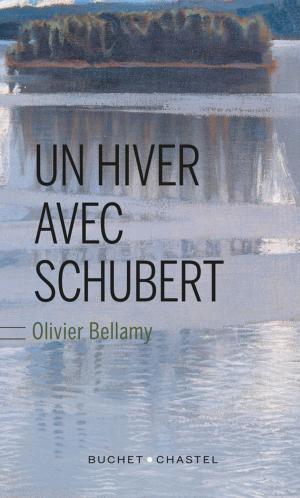 Book cover of Un hiver avec Schubert
