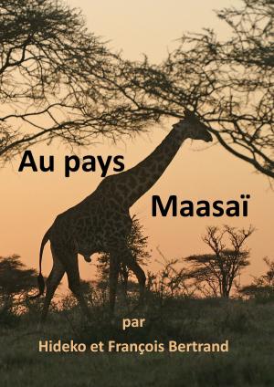 Book cover of Au pays Maasaï