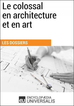 Cover of the book Le colossal en architecture et en art by Encyclopaedia Universalis