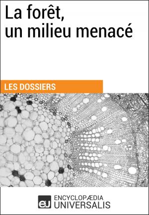 Cover of the book La forêt, un milieu menacé by Encyclopaedia Universalis