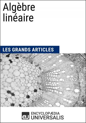Cover of the book Algèbre linéaire (Les Grands Articles d'Universalis) by Encyclopaedia Universalis