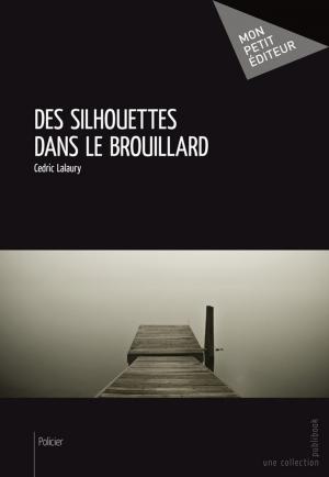 Cover of the book Des silhouettes dans le brouillard by Natacha Odonnat