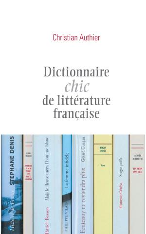 Cover of Dictionnaire chic de littérature française