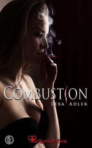 Cover of the book Combustion by Ellen Parker
