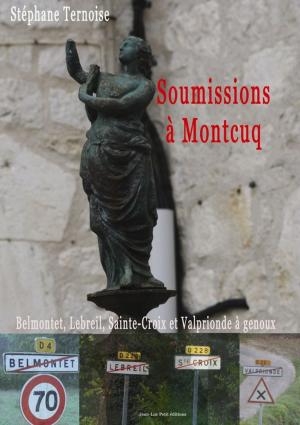 Cover of the book Soumissions à Montcuq by Jean-Luc Petit