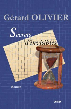 bigCover of the book Secrets d'invisibles by 