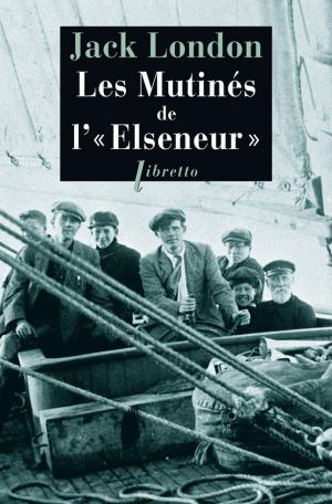 Cover of the book Les Mutinés de l'Elseneur by Washington Irving