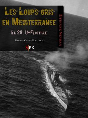 Cover of the book Les Loups gris en Méditerranée by Michel Zévaco