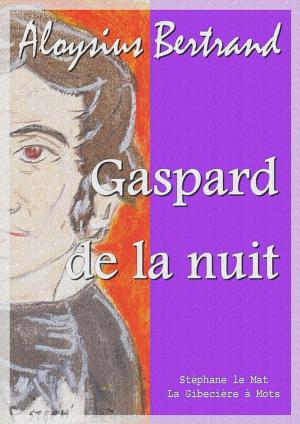 Cover of the book Gaspard de la nuit by Jean Aicard