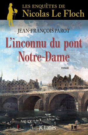 Cover of the book L'inconnu du Pont Notre-Dame : N°13 by Isabelle Monnin