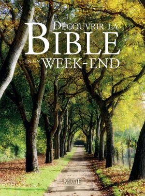 Cover of the book Découvrir la Bible en un week-end by Éric De Rosny, Jean-Luc Marion, Anne-Christine Fournier, Bertrand Vergely, Edgar Morin, Rémi Brague