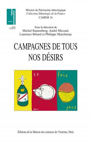 Cover of the book Campagnes de tous nos désirs by Mireille Helffer