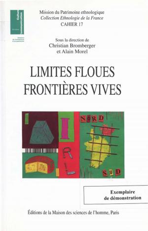 Cover of the book Limites floues, frontières vives by Collectif