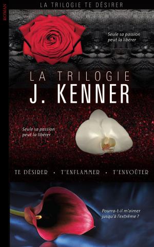 Cover of the book La Trilogie by David Baldacci