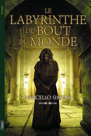 Cover of Le labyrinthe du bout du monde