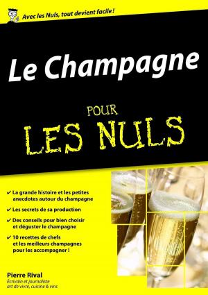 Book cover of Le Champagne pour les Nuls, édition mégapoche