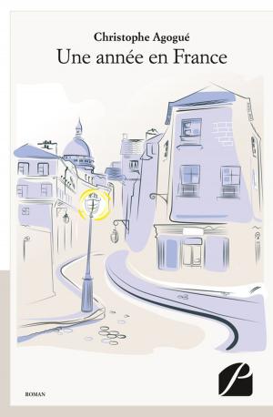 Cover of the book Une année en France by Ghyslain-Jean Martin, Marie-Françoise Rivet