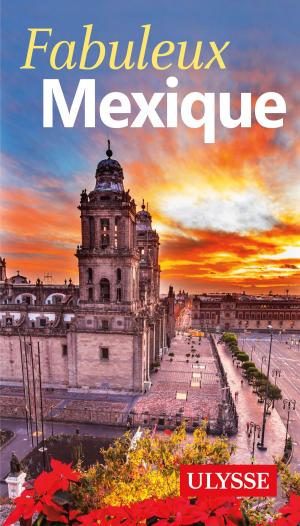 Cover of the book Fabuleux Mexique by Marc Rigole
