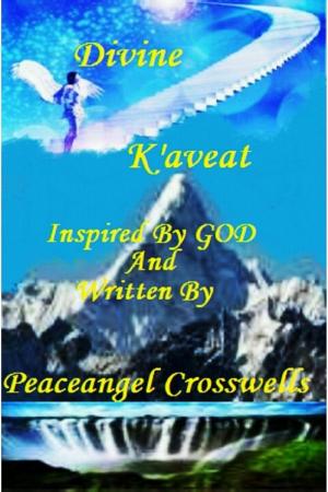 Cover of the book Divine K'aveat 2 by Carson Eige