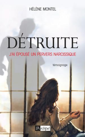 Cover of the book Détruite by Arlette Aguillon