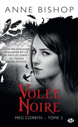 Book cover of Volée noire