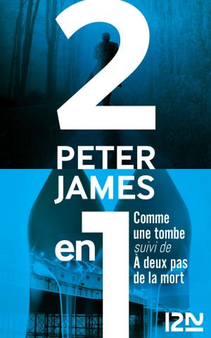 Cover of the book Comme une tombe suivi de À deux pas de la mort by SAN-ANTONIO