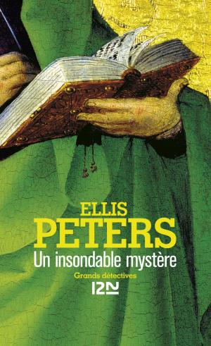 Cover of the book Un insondable mystère by Jill SANTOPOLO