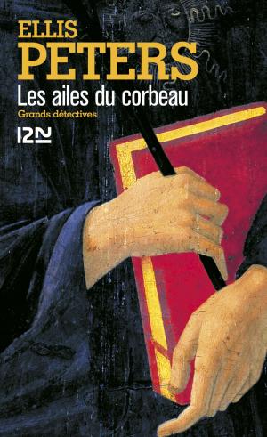 Book cover of Les ailes du corbeau