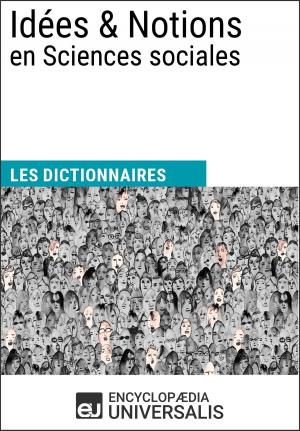 Cover of the book Dictionnaire des Idées & Notions en Sciences sociales by Encyclopaedia Universalis