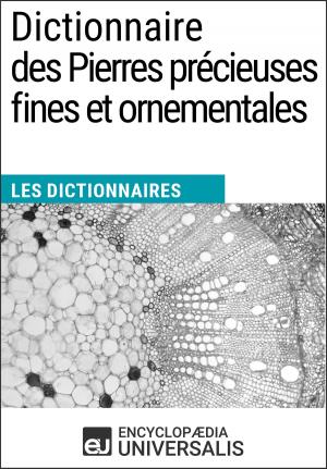Cover of Dictionnaire des Pierres précieuses fines et ornementales