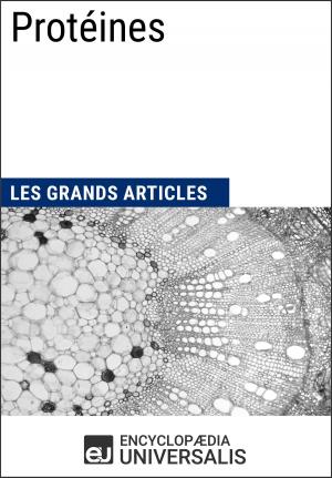 Cover of the book Protéines by Encyclopaedia Universalis, Les Grands Articles