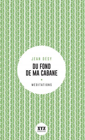 Cover of the book Du fond de ma cabane by Jérôme Minière