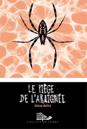 Cover of the book Le piège de l'araignée by Chantal Plourde, Myriam Laventure