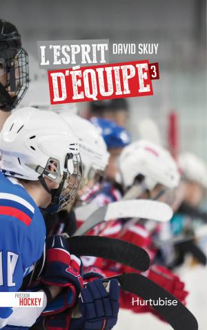 Cover of the book L'esprit d'équipe by Michel David