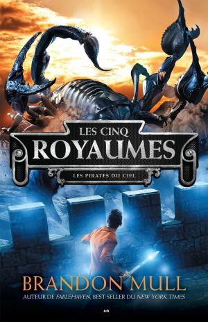 Cover of the book Les pirates du ciel by Amanda Hocking