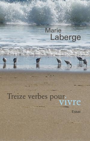 Book cover of Treize verbes pour vivre