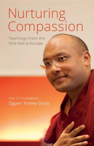 bigCover of the book Nurturing Compassion by 