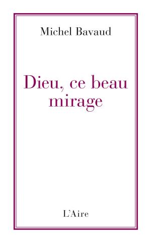 Cover of the book Dieu, ce beau mirage by Julien Sansonnens